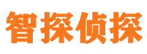 平江智探私家侦探公司